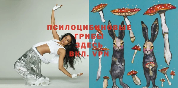 МДПВ Алексин