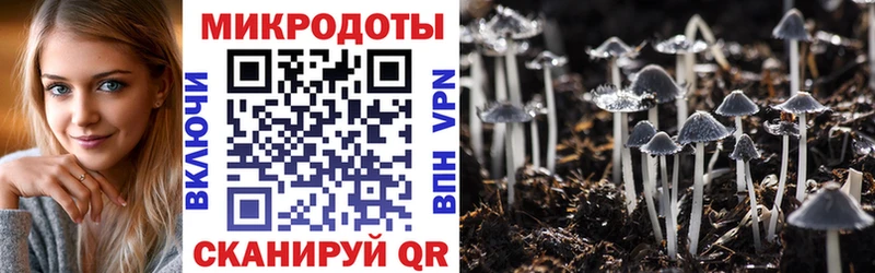 Галлюциногенные грибы Magic Shrooms  площадка Telegram  Зарайск 